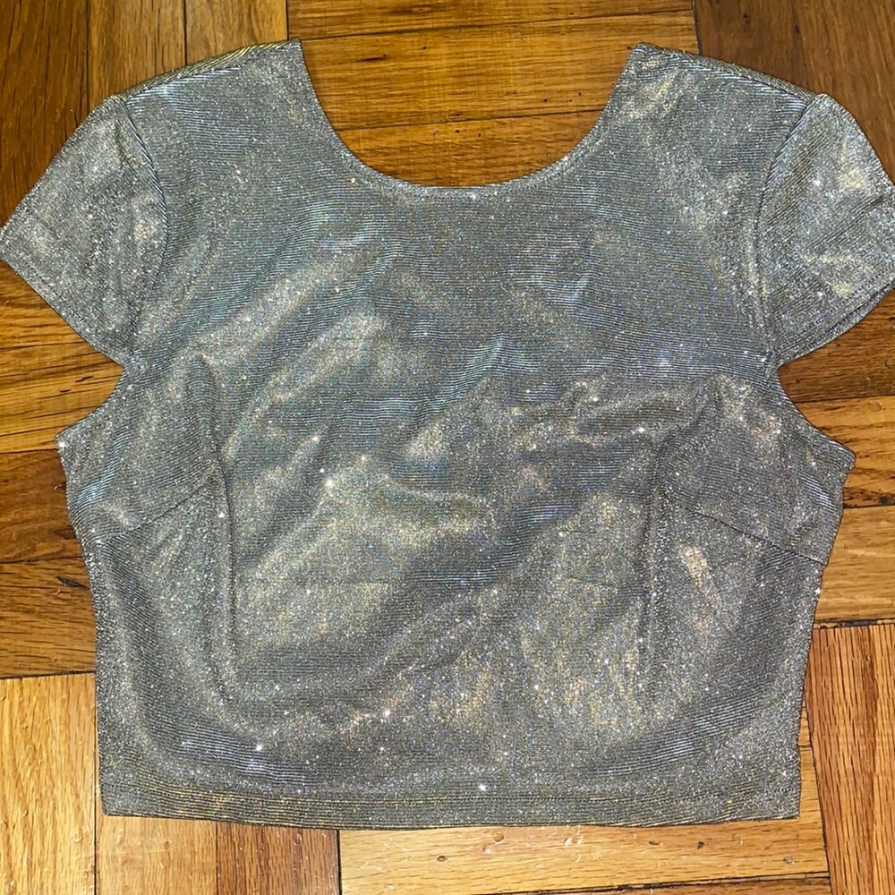 Gold/Silver Shimmer Crop Top